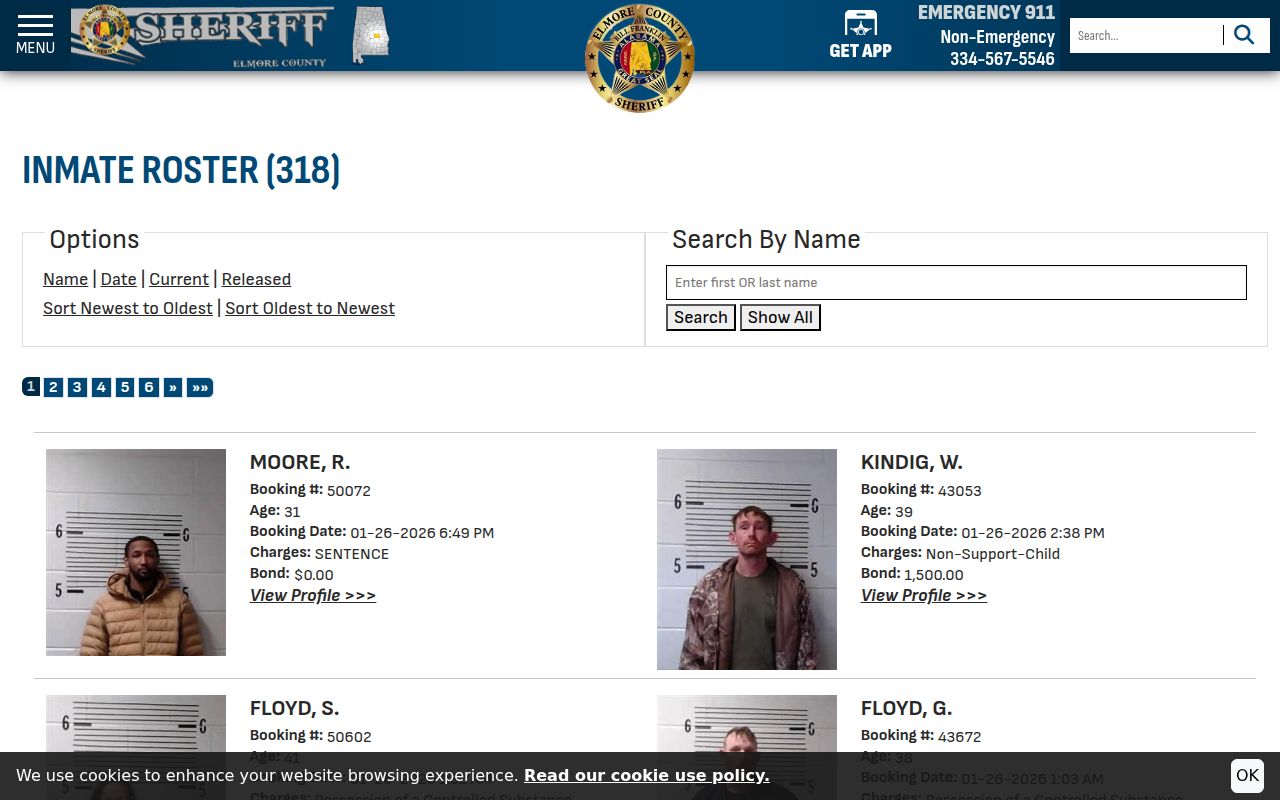 Elmore County inmate roster page